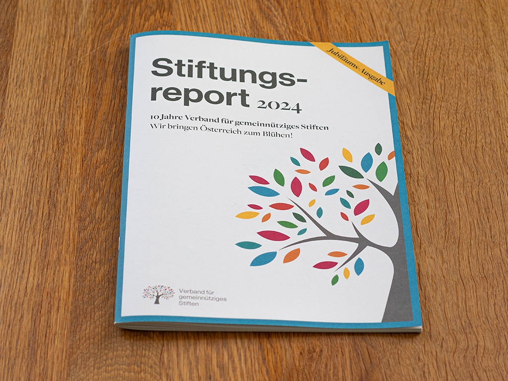 Cover Stiftungsreport Verein für gemeinnütziges Stiften